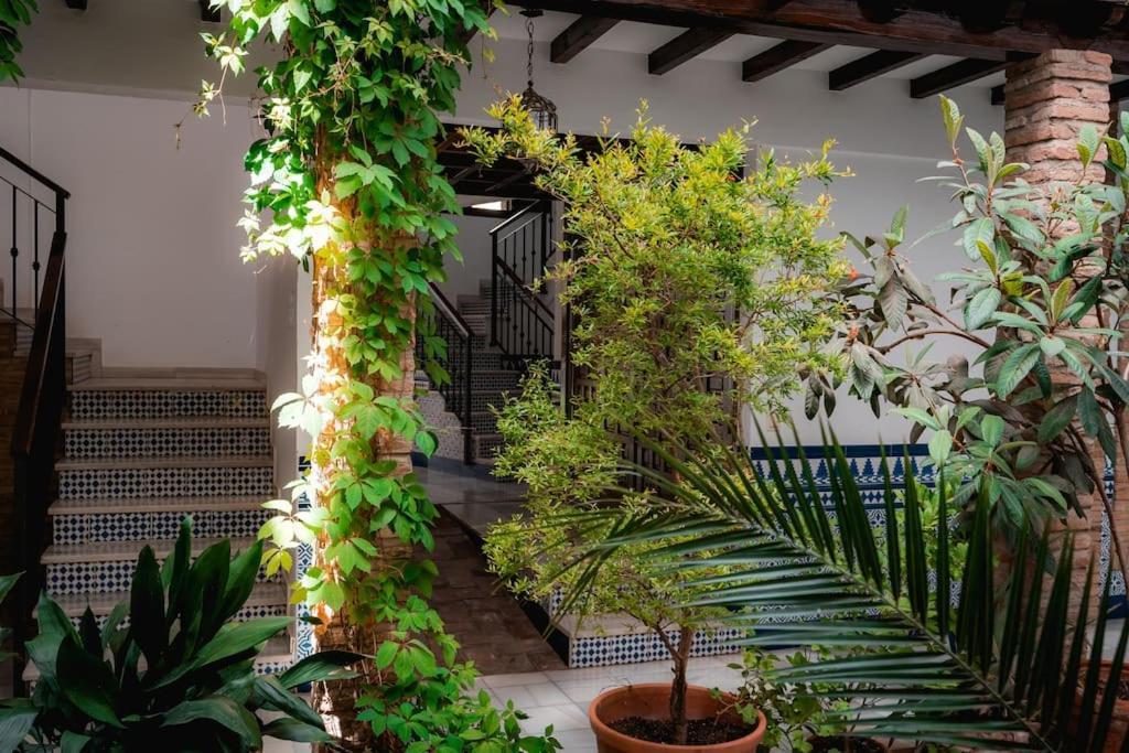 Qh Caldeleria Vieja Διαμέρισμα Γρανάδα Εξωτερικό φωτογραφία